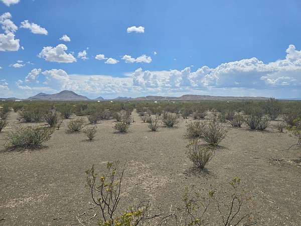 10 Acres of Recreational Land for Sale in Terlingua, Texas