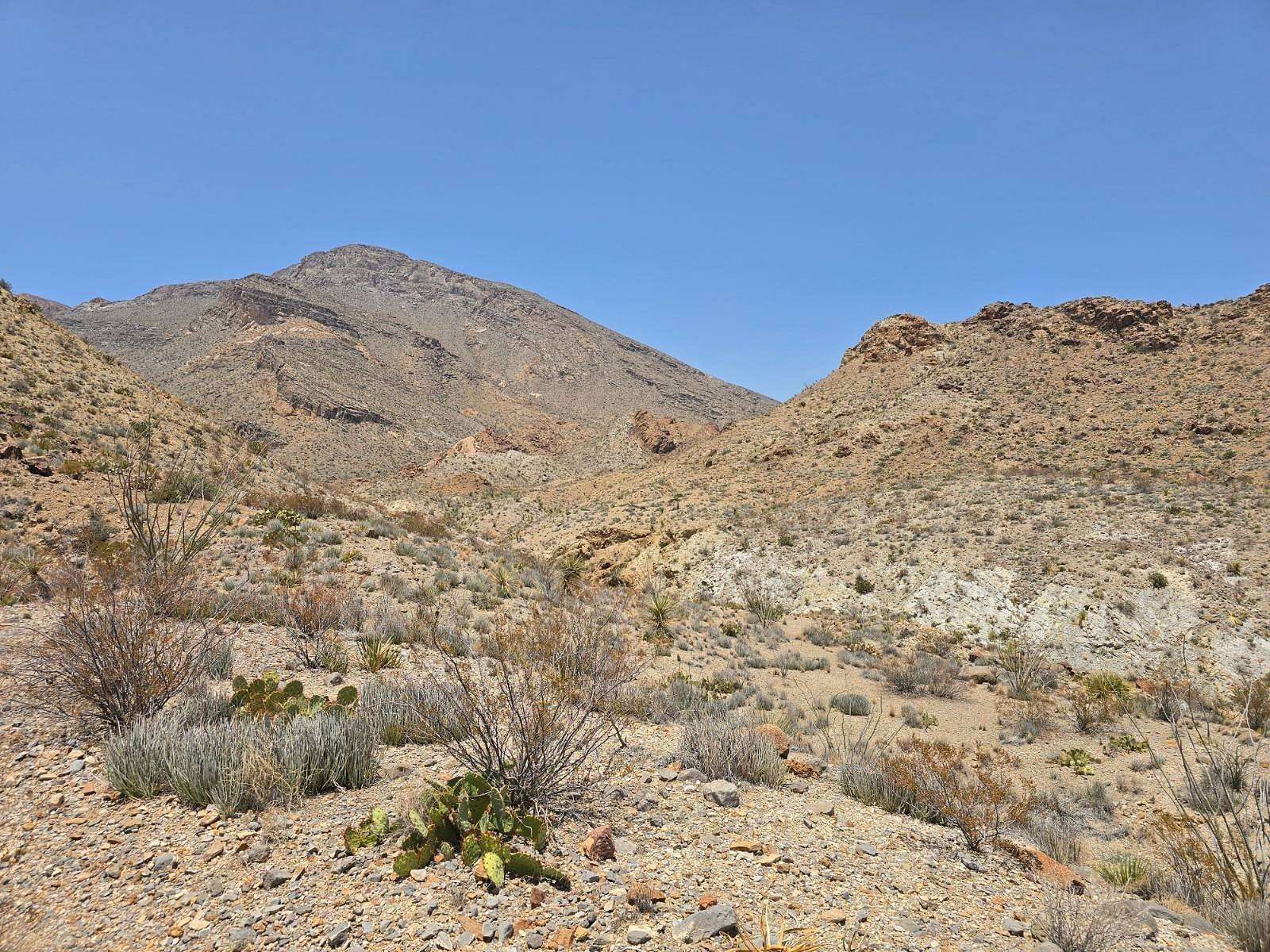 40 Acres of Recreational & Residential Land for Sale in Terlingua, Texas