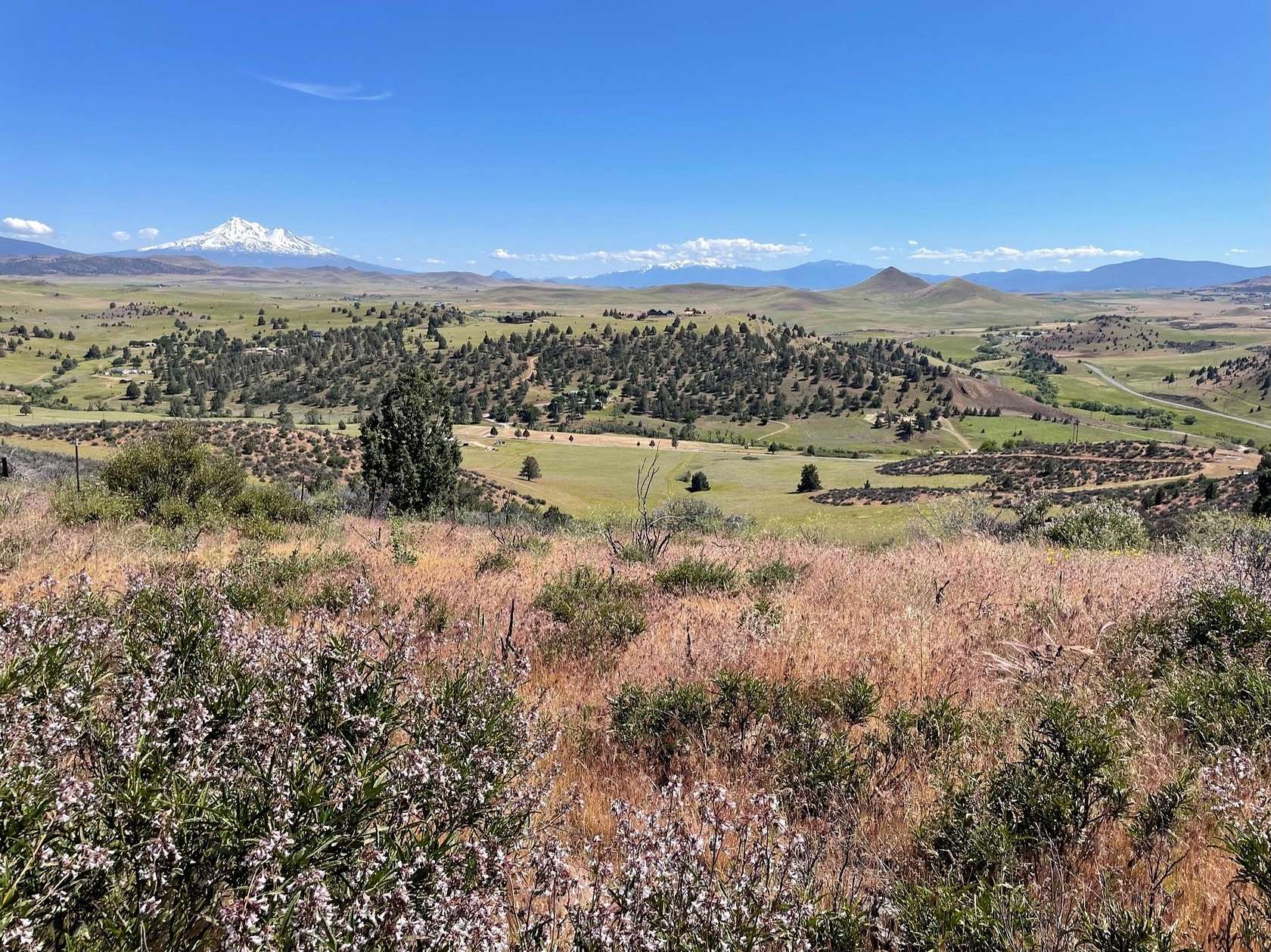 2.5 Acres of Residential Land for Sale in Hornbrook, California