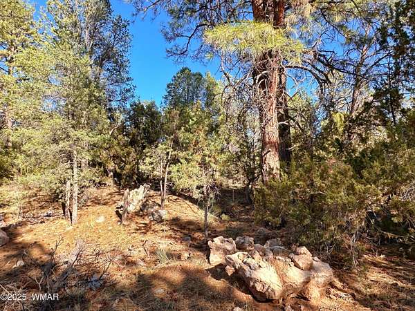 0.22 Acres of Residential Land for Sale in Overgaard, Arizona