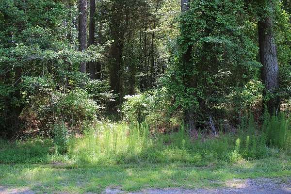 0.22 Acres of Land for Sale in Greenbackville, Virginia