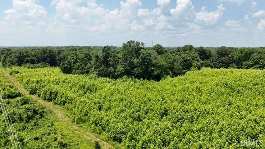 50.5 Acres of Recreational Land & Farm for Sale in Hazleton, Indiana