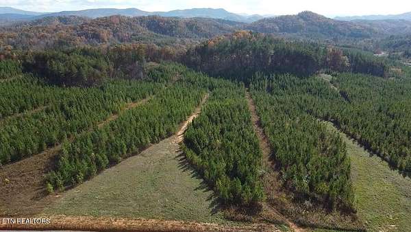 5 Acres of Residential Land for Sale in Vonore, Tennessee