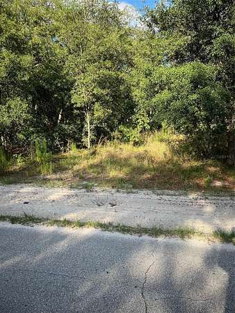 0.24 Acres of Residential Land for Sale in Dunnellon, Florida