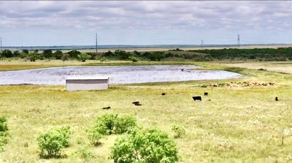 320 Acres of Recreational Land for Sale in Woodson, Texas