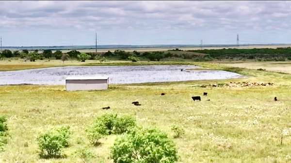 320 Acres of Recreational Land for Sale in Woodson, Texas