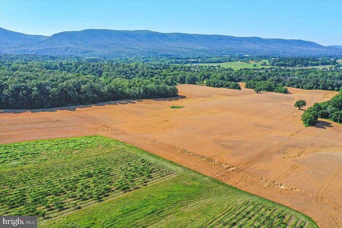 92.8 Acres of Land for Sale in Edinburg, Virginia