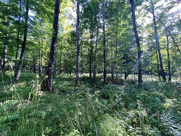 10.9 Acres of Recreational Land for Sale in Skanee, Michigan