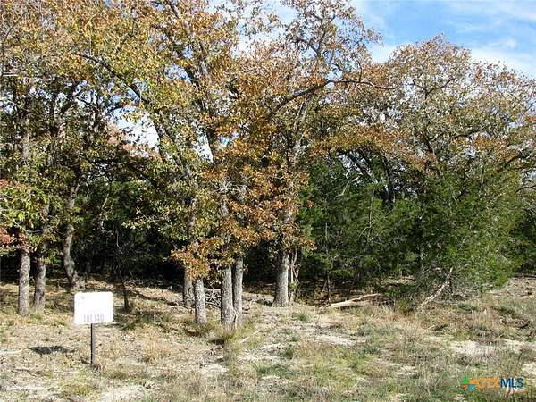 10 Acres of Recreational Land for Sale in Evant, Texas