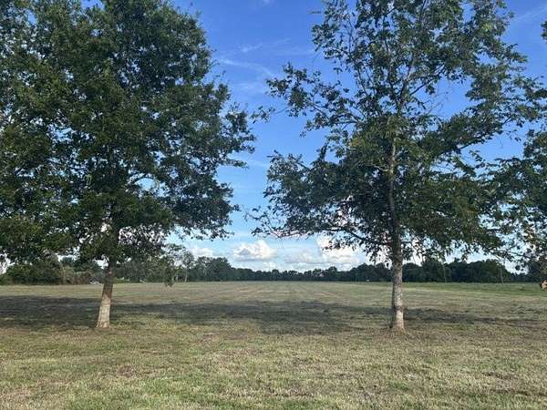 11 Acres of Land for Sale in Van Vleck, Texas