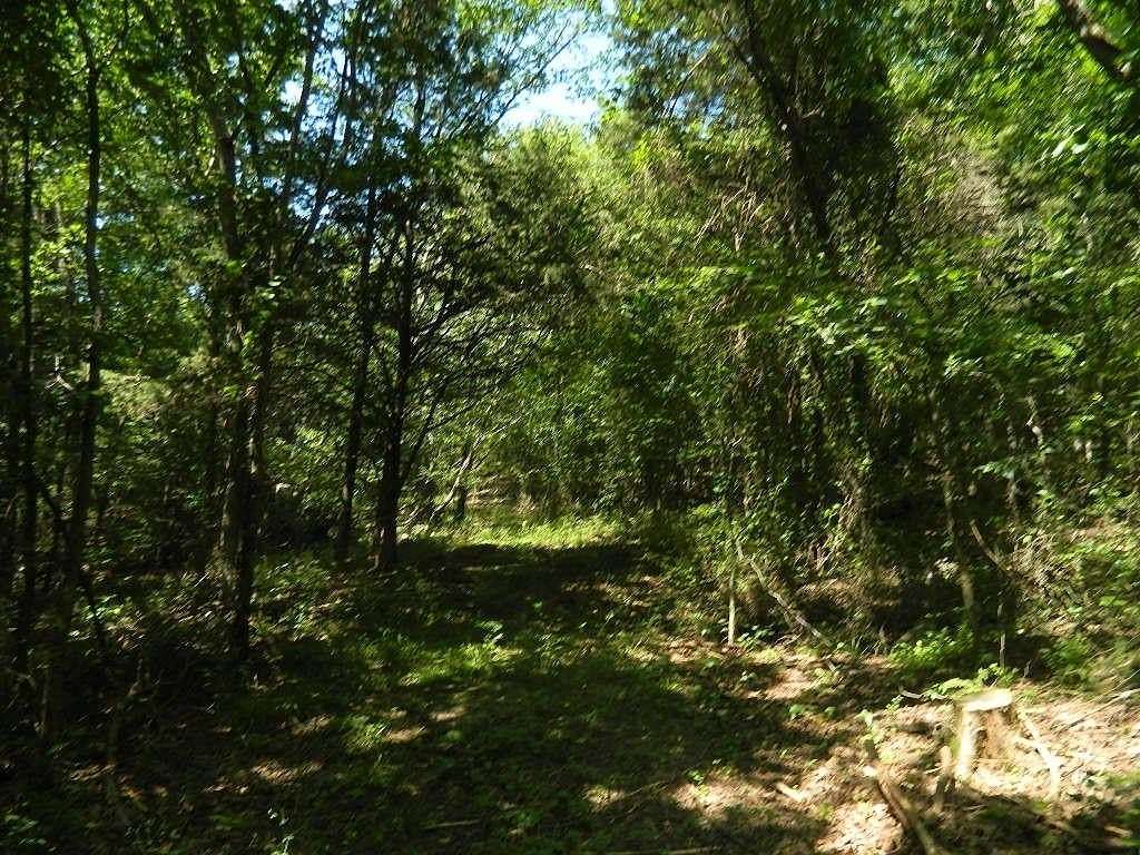 5 Acres of Land for Sale in Prairie Grove, Arkansas