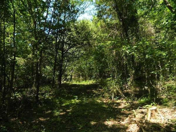 5 Acres of Land for Sale in Prairie Grove, Arkansas