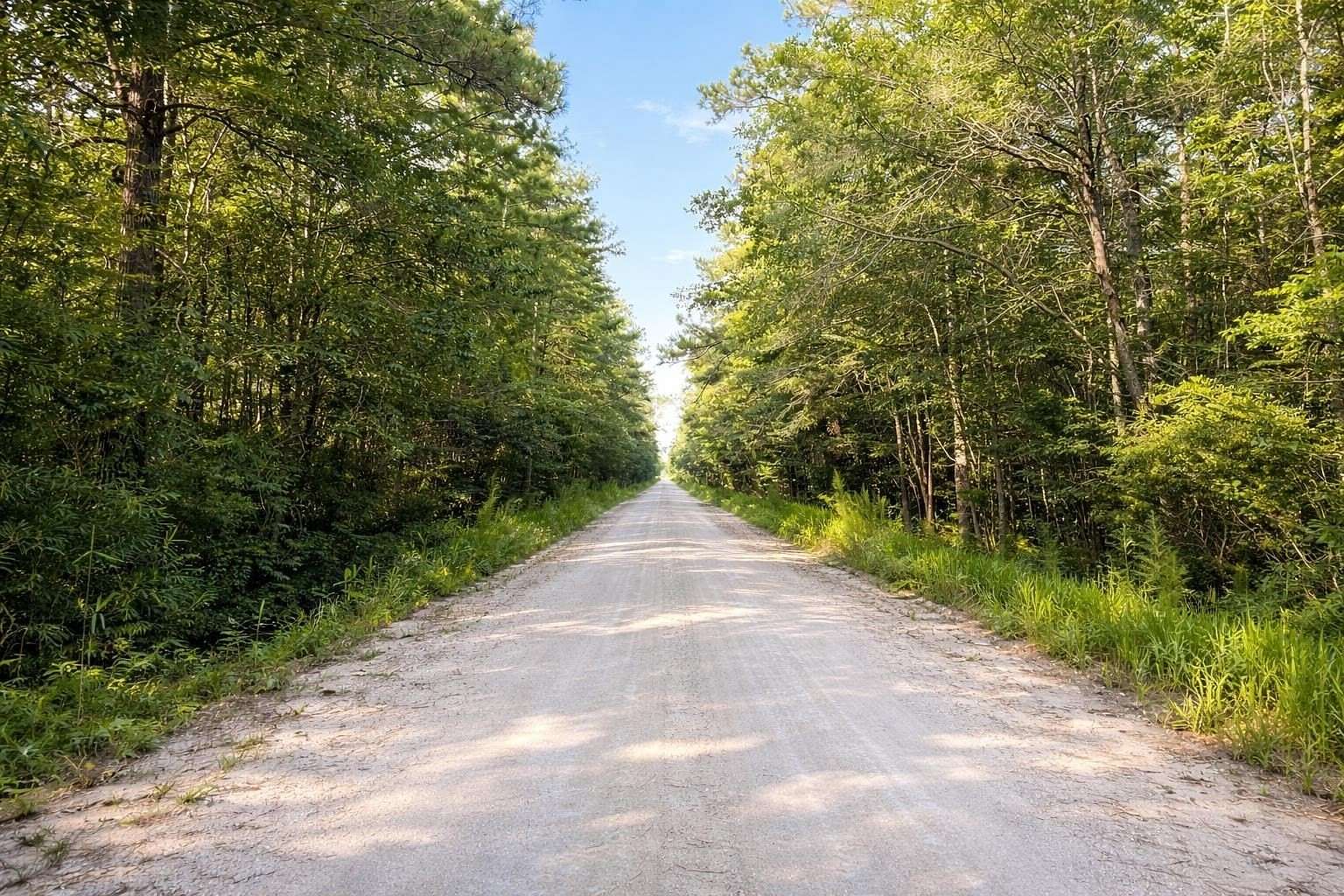 7 Acres of Land for Sale in Nichols, South Carolina