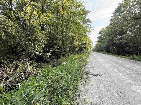 7 Acres of Residential Land for Sale in Nichols, South Carolina