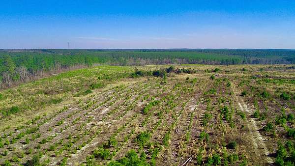 80 Acres of Recreational Land & Farm for Sale in Ridge Spring, South Carolina
