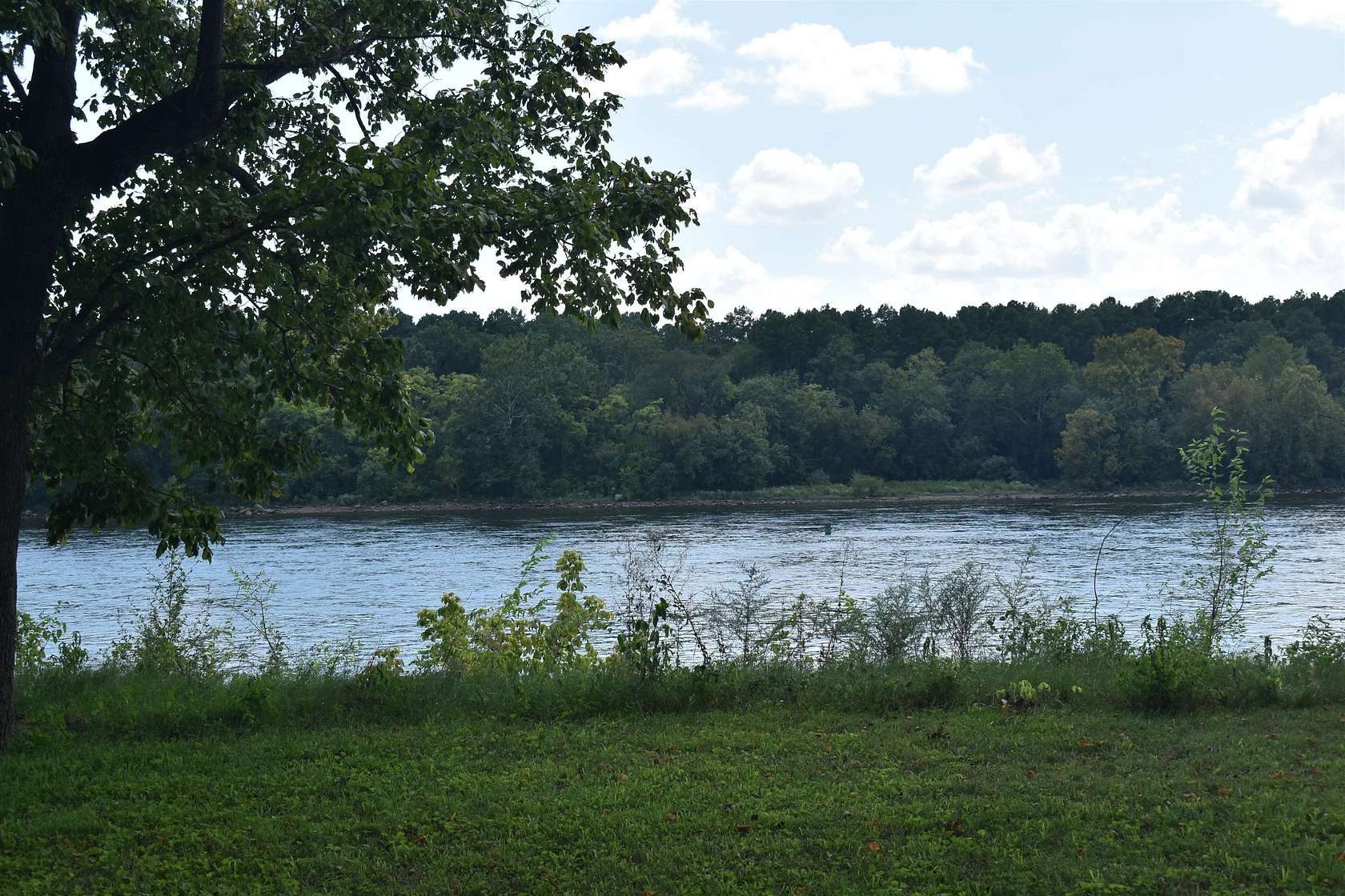 0.5 Acres of Land for Sale in Counce, Tennessee