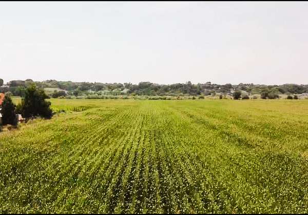33.9 Acres of Mixed-Use Land for Sale in Delta, Colorado
