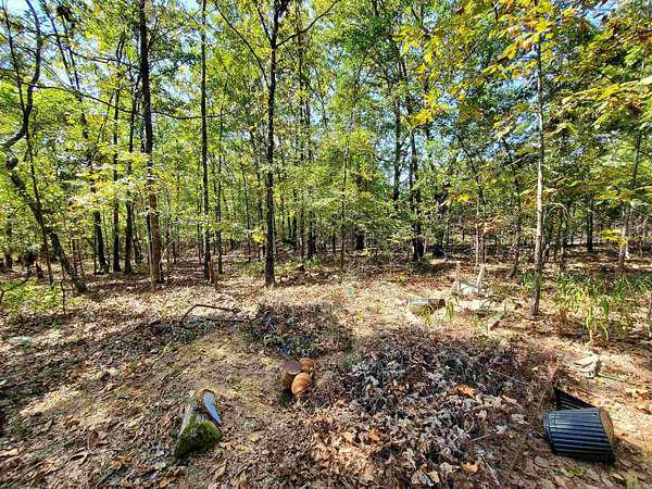 20 Acres of Land for Sale in Romance, Arkansas