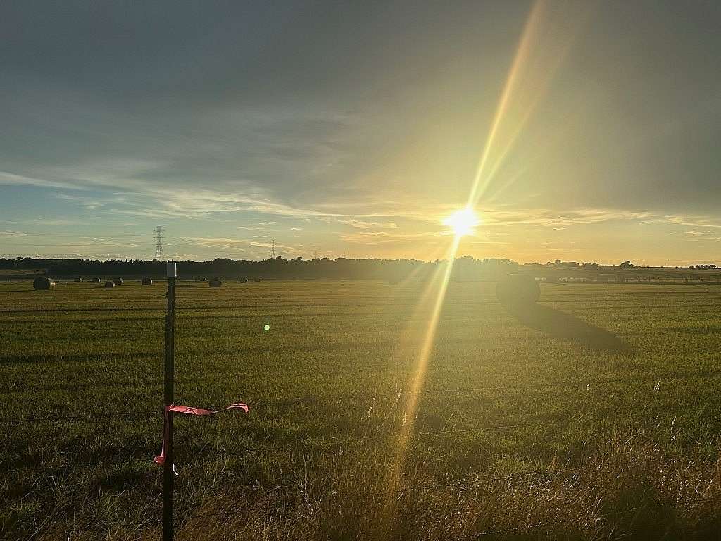 6.56 Acres of Land for Sale in La Grange, Texas