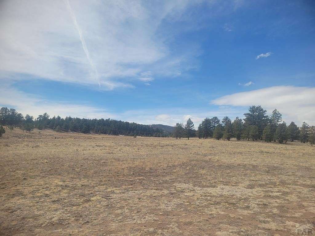 20 Acres of Recreational Land for Sale in Guffey, Colorado
