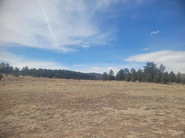 20 Acres of Recreational Land for Sale in Guffey, Colorado