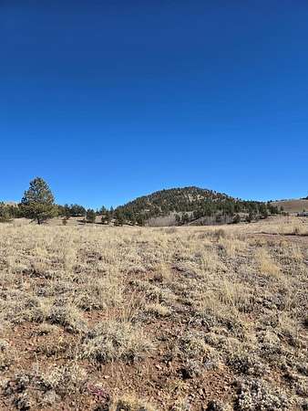 20 Acres of Recreational & Residential Land for Sale in Guffey, Colorado