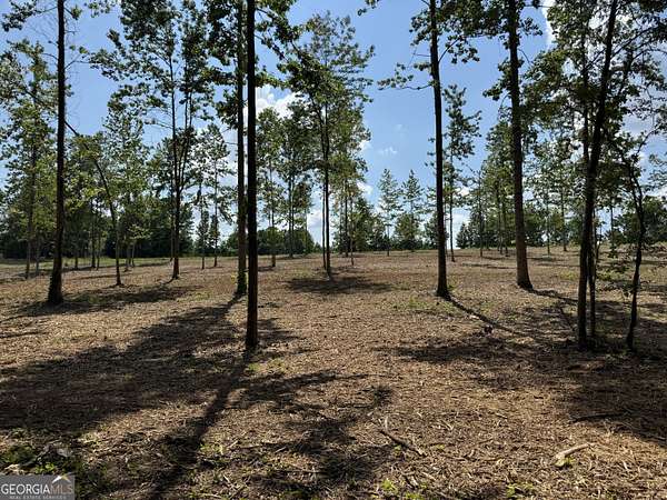 5.77 Acres of Residential Land for Sale in Roopville, Georgia