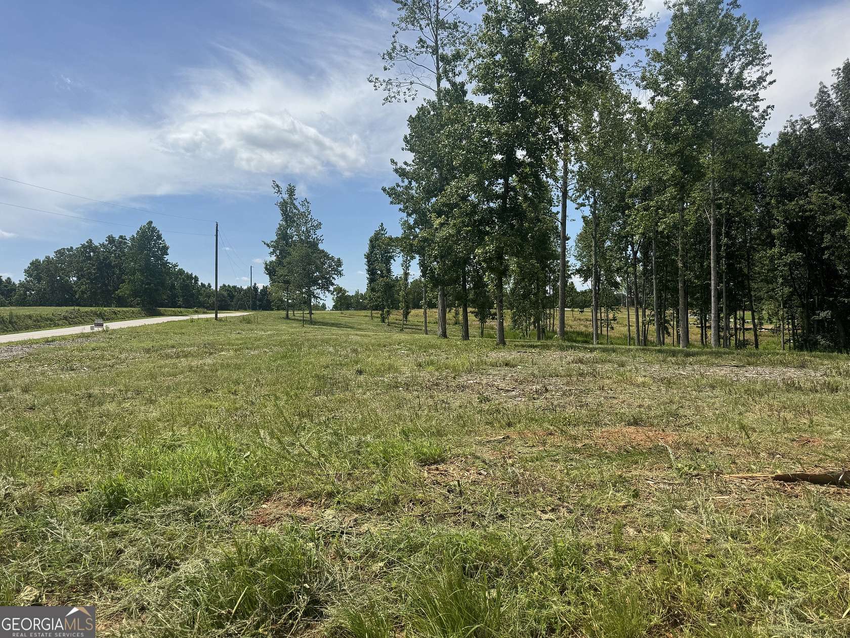 23.8 Acres of Land for Sale in Roopville, Georgia
