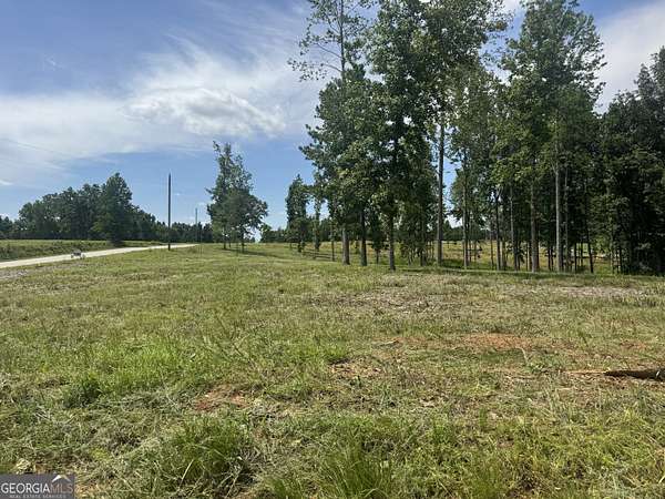 23.8 Acres of Land for Sale in Roopville, Georgia