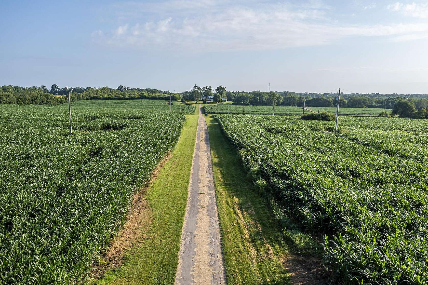 140 Acres of Improved Agricultural Land for Sale in Lexington, Kentucky