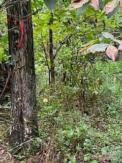 1.64 Acres of Land for Sale in Charlotte, North Carolina