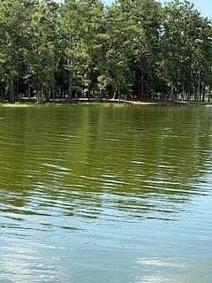 0.49 Acres of Residential Land for Sale in Abbeville, Alabama