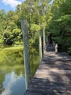 0.49 Acres of Residential Land for Sale in Abbeville, Alabama