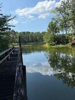 0.49 Acres of Residential Land for Sale in Abbeville, Alabama