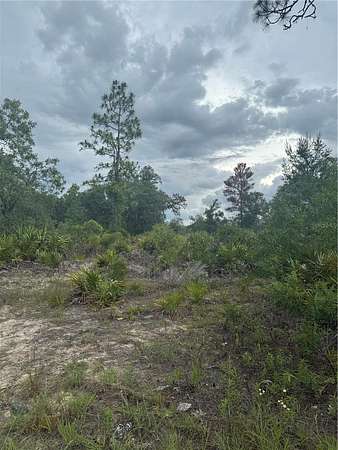 0.55 Acres of Land for Sale in Archer, Florida