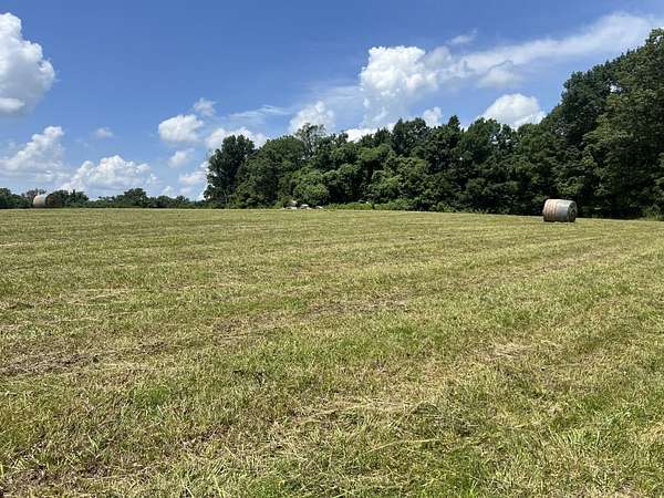 13 Acres of Land for Sale in Bell City, Missouri