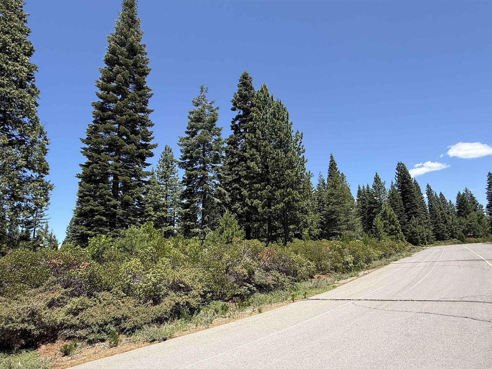 0.24 Acres of Residential Land for Sale in Lake Almanor Peninsula, California