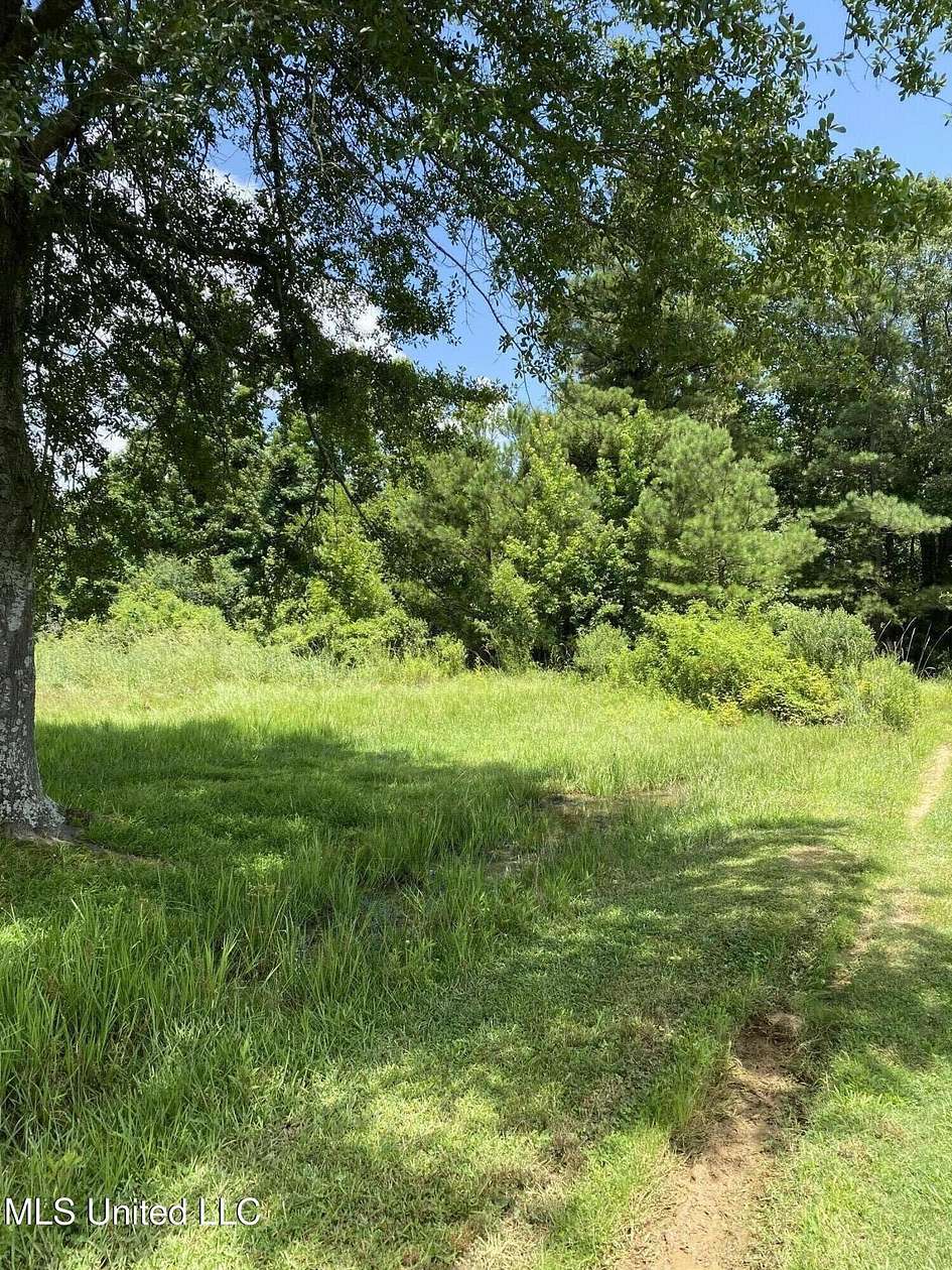 96 Acres of Recreational Land for Sale in Canton, Mississippi