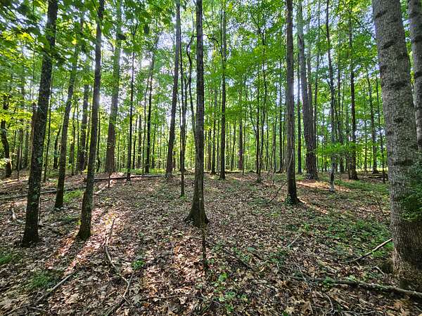 10 Acres of Recreational Land for Sale in Mansfield, Georgia