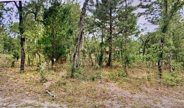 0.26 Acres of Land for Sale in Citrus Springs, Florida