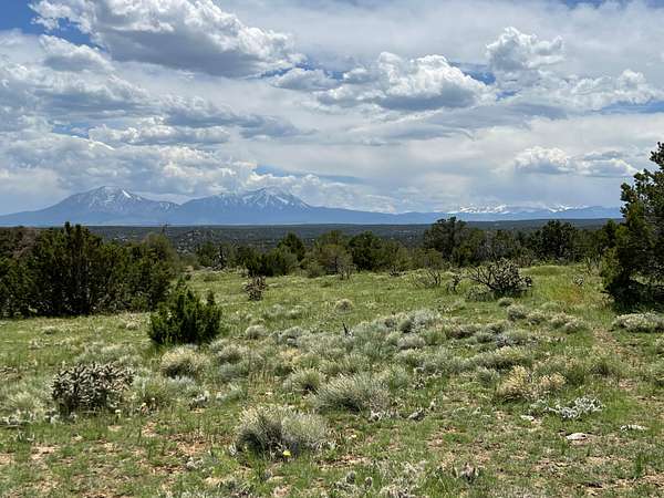 160 Acres of Land for Sale in Walsenburg, Colorado