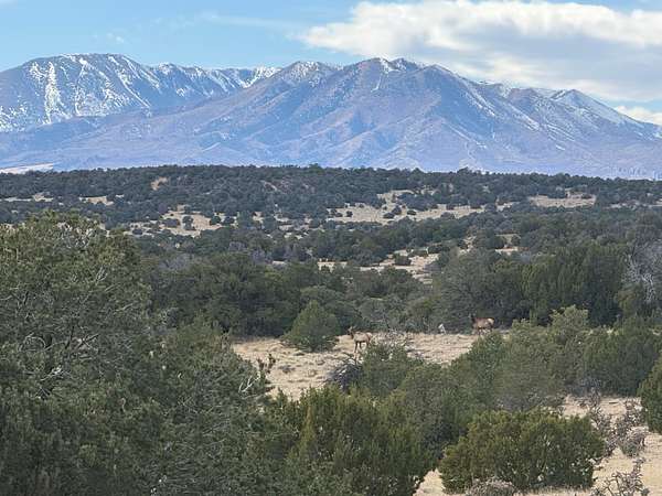 160 Acres of Land for Sale in Walsenburg, Colorado