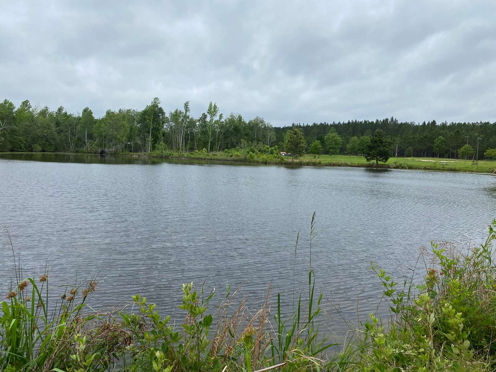 12.7 Acres of Recreational Land for Sale in Adrian, Georgia