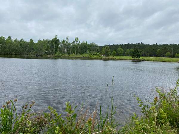 12.7 Acres of Recreational Land for Sale in Adrian, Georgia