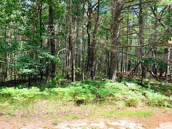 0.58 Acres of Residential Land for Sale in Prudenville, Michigan