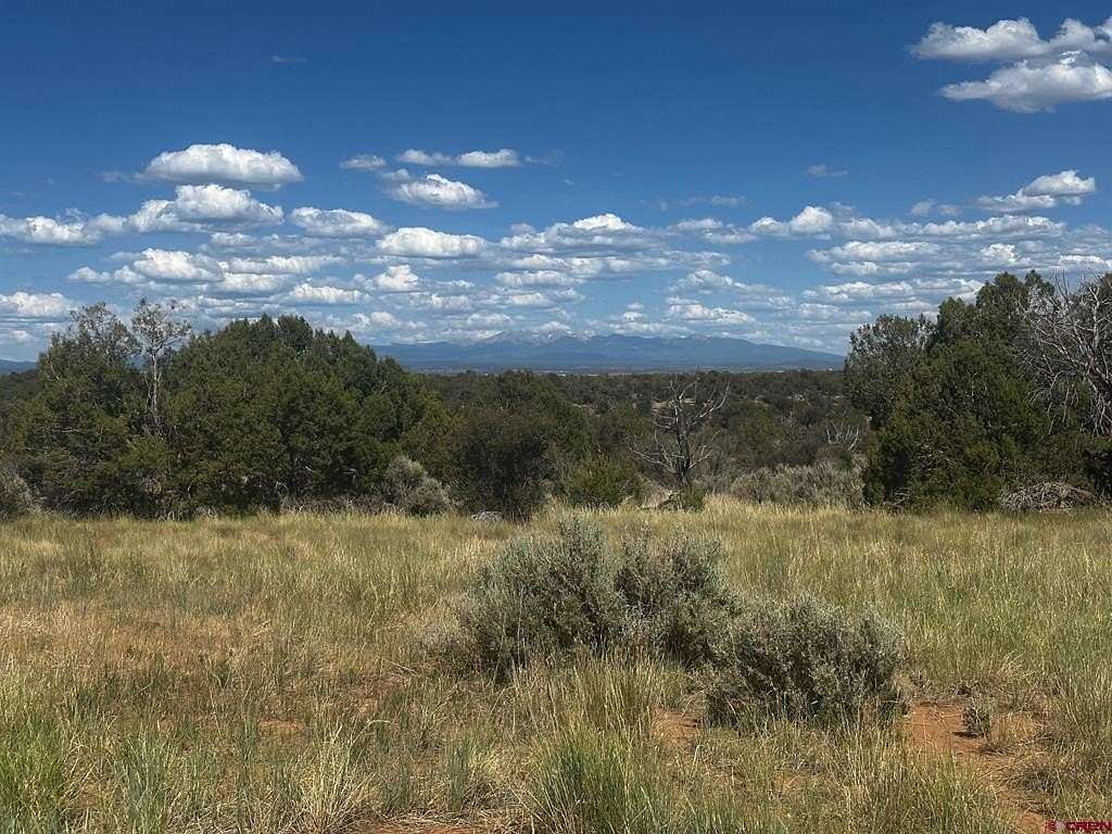 35.4 Acres of Agricultural Land for Sale in Yellow Jacket, Colorado
