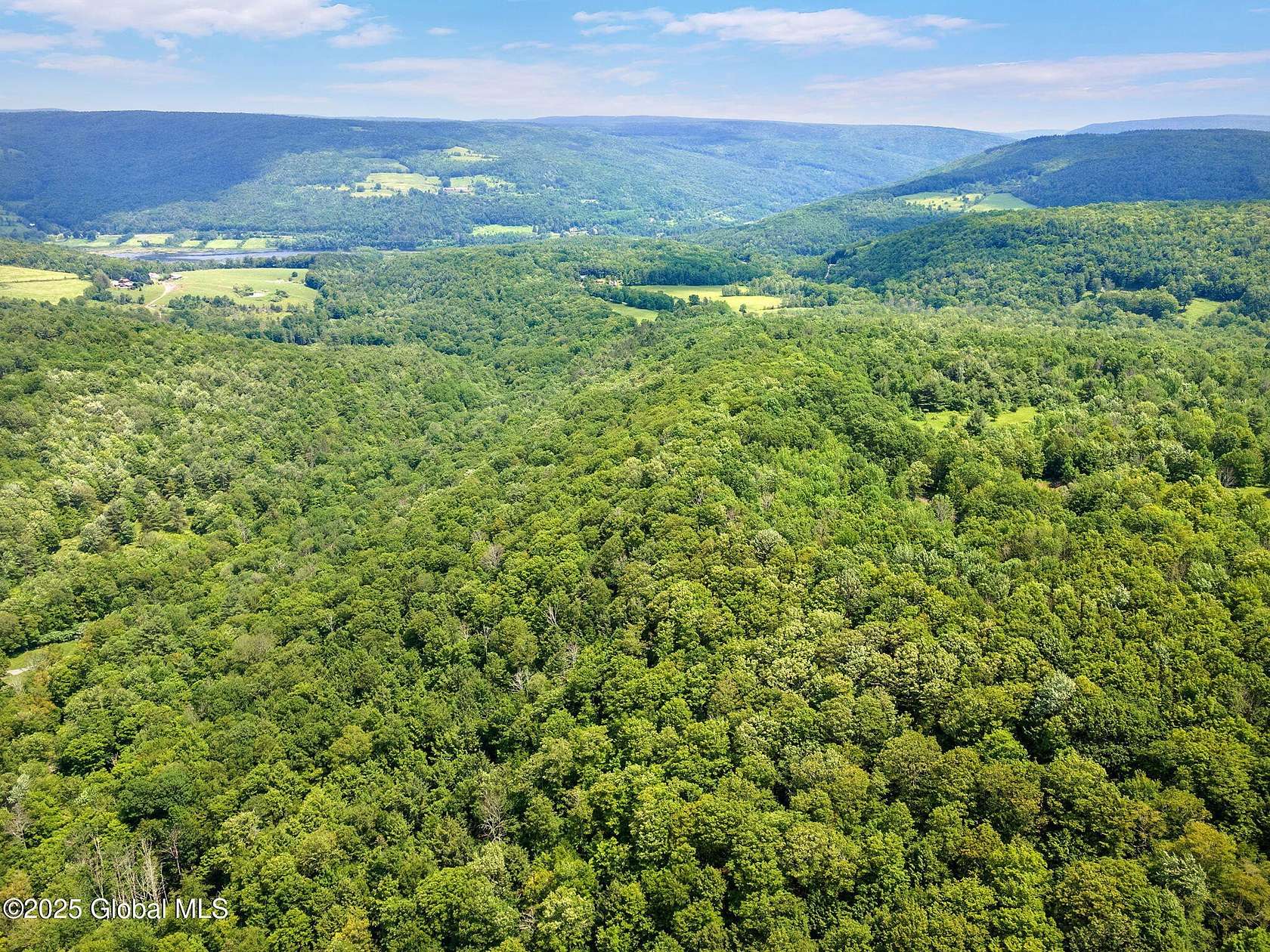 158 Acres of Recreational Land for Sale in Middleburgh, New York