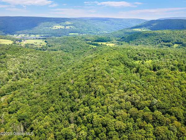 158 Acres of Recreational Land for Sale in Middleburgh, New York
