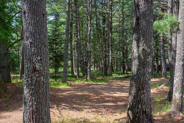 0.69 Acres of Land for Sale in Saint Germain, Wisconsin