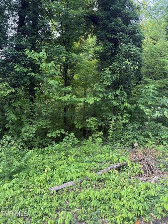 0.17 Acres of Residential Land for Sale in Kingsport, Tennessee